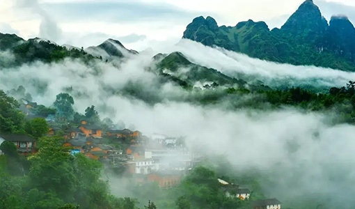 公司简介